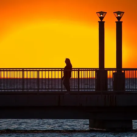 Royal Rose Apartament