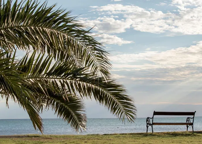 Royal Rose * 우마그